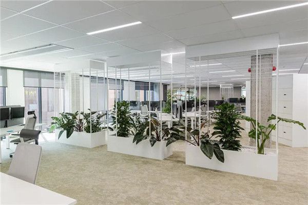 办公室绿植装修装饰